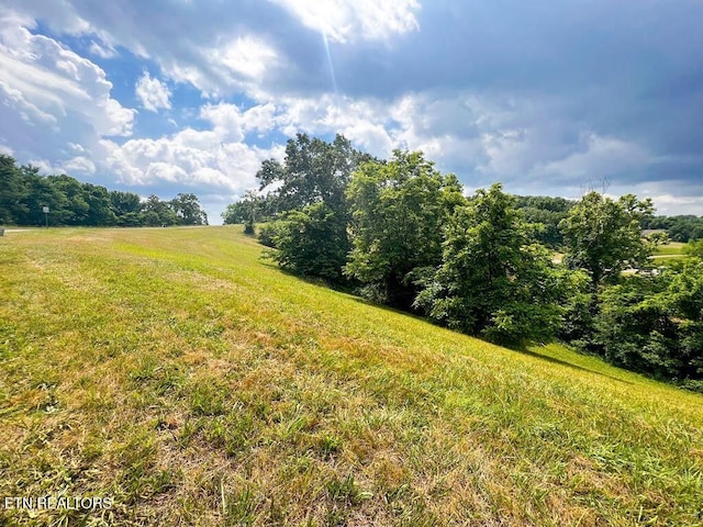 2063 Turners Landing Rd, Russellville, TN 37860 - photo 1