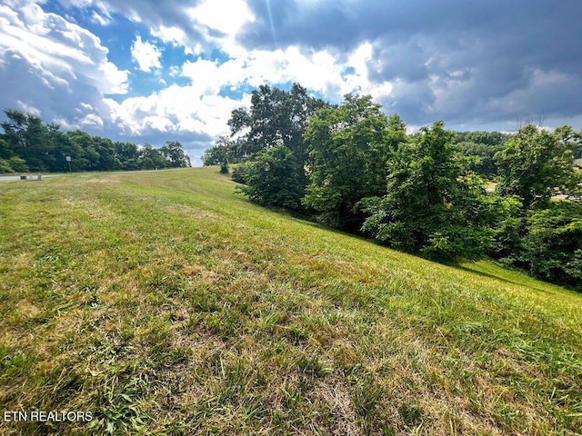 2063 Turners Landing Rd, Russellville, TN 37860 - photo 2