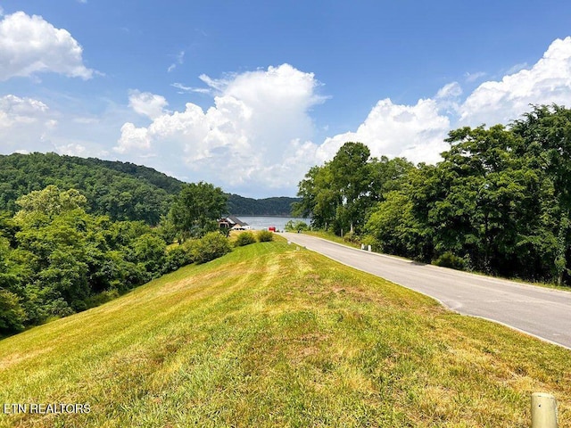 2063 Turners Landing Rd, Russellville, TN 37860 - photo 4