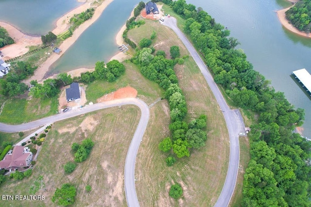 2063 Turners Landing Rd, Russellville, TN 37860 - photo 9
