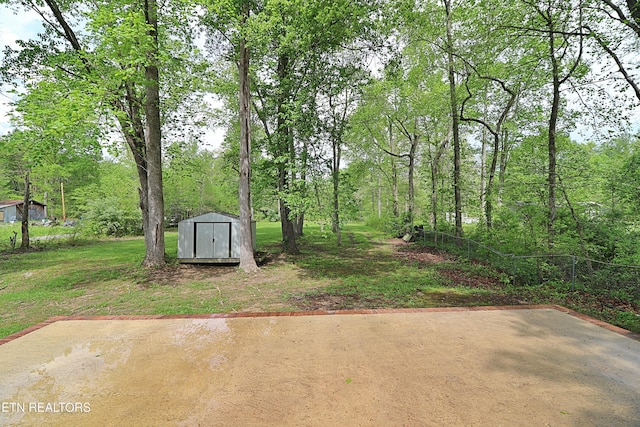 view of yard with a storage shed and an outdoor structure