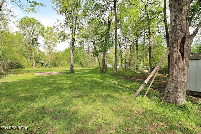 view of yard