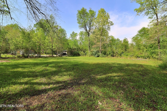 view of yard featuring a view of trees