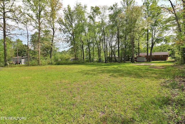 view of yard