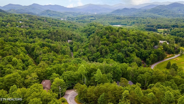 620 Hawk View Dr, Townsend, TN 37882 - aerial view of a forest and mountains