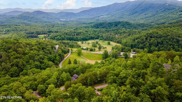 620 Hawk View Dr, Townsend, TN 37882 - aerial view of a heavily wooded area and a mountainous background