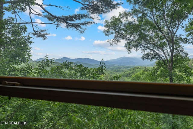620 Hawk View Dr, Townsend, TN 37882 - view of mountain background