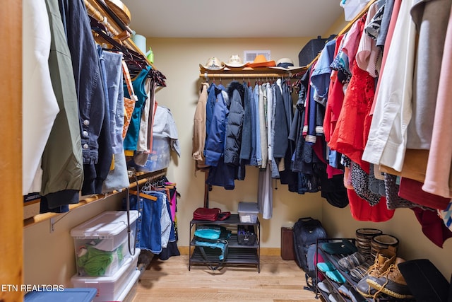 620 Hawk View Dr, Townsend, TN 37882 - walk in closet featuring wood finished floors
