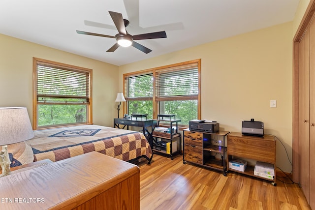 620 Hawk View Dr, Townsend, TN 37882 - bedroom with light wood-style floors, a closet, and a ceiling fan