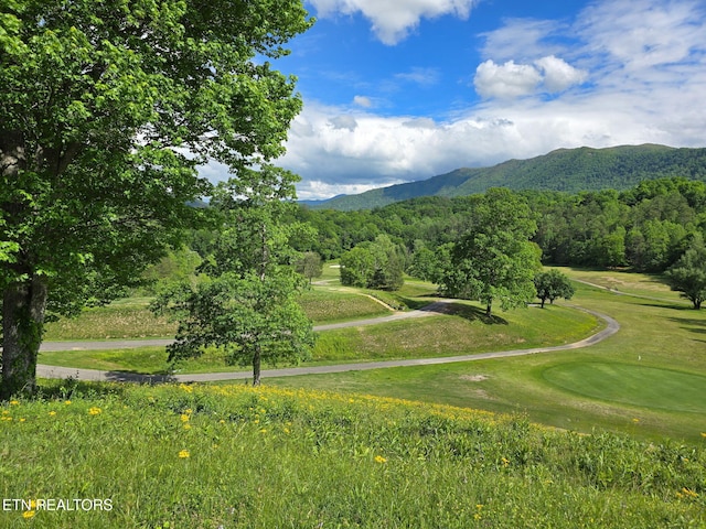 620 Hawk View Dr, Townsend, TN 37882 - view of home's community featuring a mountain view and view of golf course