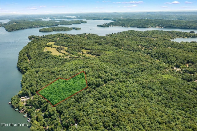2.45ACRES Clearwater Dr, Spring City, TN 37381