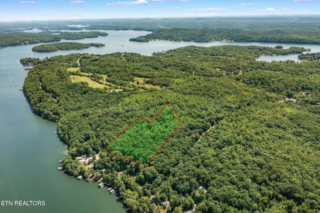 2.45ACRES Clearwater Dr, Spring City, TN 37381