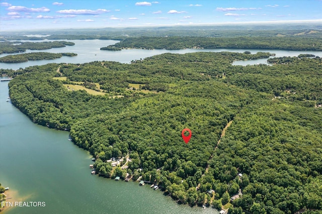 2.45ACRES Clearwater Dr, Spring City, TN 37381