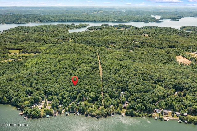 2.45ACRES Clearwater Dr, Spring City, TN 37381