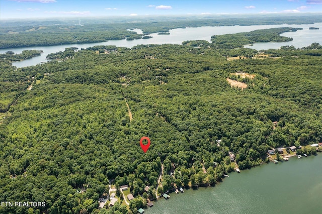 2.45ACRES Clearwater Dr, Spring City, TN 37381