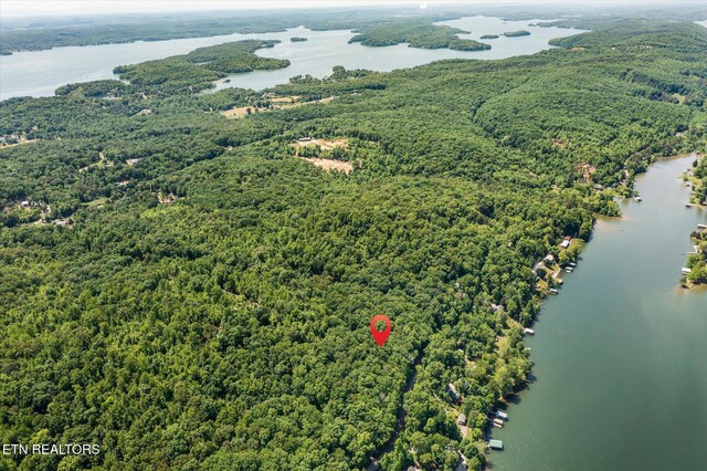 2.45ACRES Clearwater Dr, Spring City, TN 37381