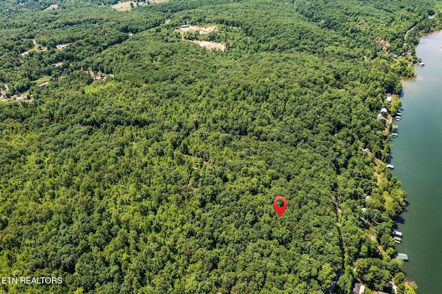 2.45ACRES Clearwater Dr, Spring City, TN 37381