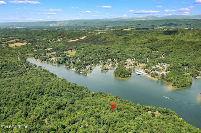 2.45ACRES Clearwater Dr, Spring City, TN 37381