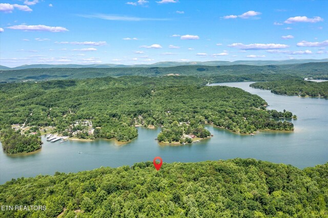 2.45ACRES Clearwater Dr, Spring City, TN 37381