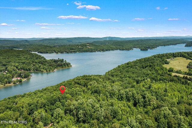 2.45ACRES Clearwater Dr, Spring City, TN 37381