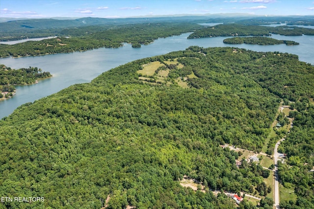 2.45ACRES Clearwater Dr, Spring City, TN 37381