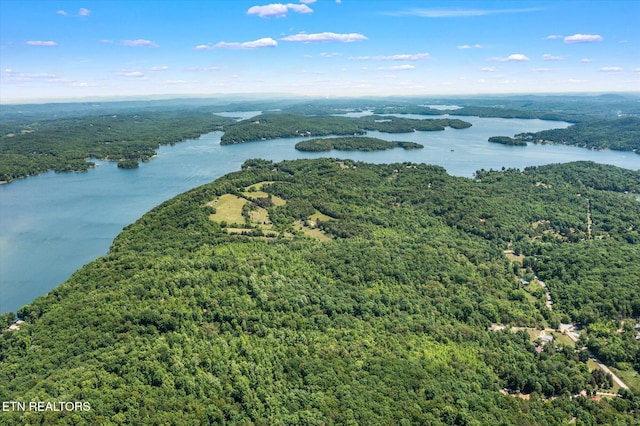 2.45ACRES Clearwater Dr, Spring City, TN 37381