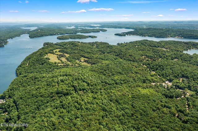 2.45ACRES Clearwater Dr, Spring City, TN 37381