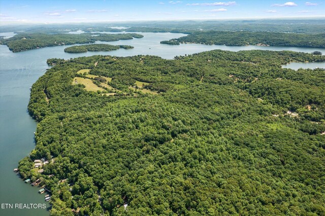 2.45ACRES Clearwater Dr, Spring City, TN 37381