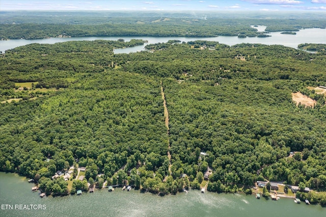2.45ACRES Clearwater Dr, Spring City, TN 37381