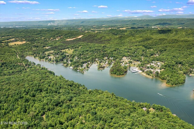 2.45ACRES Clearwater Dr, Spring City, TN 37381