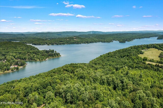 2.45ACRES Clearwater Dr, Spring City, TN 37381