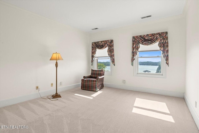 4540 Scenic Point Dr, Louisville, TN 37777 - photo 28