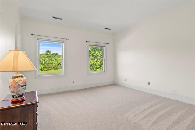 4540 Scenic Point Dr, Louisville, TN 37777 - photo 29