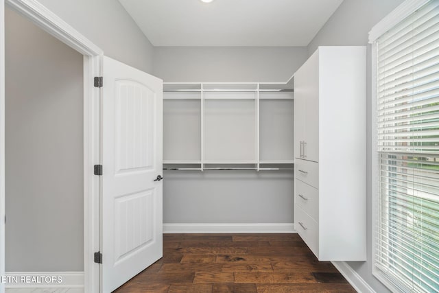 walk in closet with dark wood-style flooring