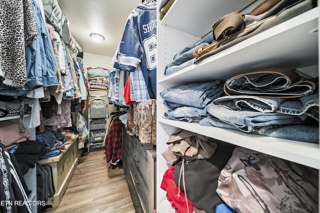 spacious closet with wood finished floors