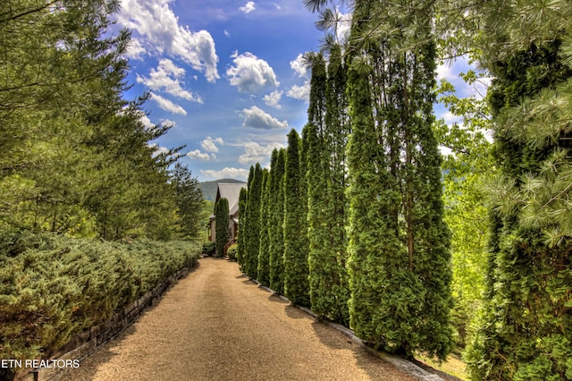 1551 Mountain Dreams Way, Sevierville, TN 37862 - view of street