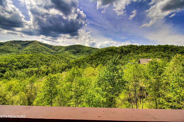 1551 Mountain Dreams Way, Sevierville, TN 37862 - mountain view featuring a wooded view