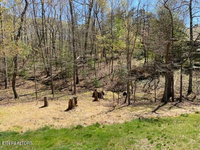Mariners Pt, Fairfield Glade, TN 38558