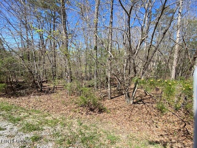 Mariners Pt, Fairfield Glade, TN 38558