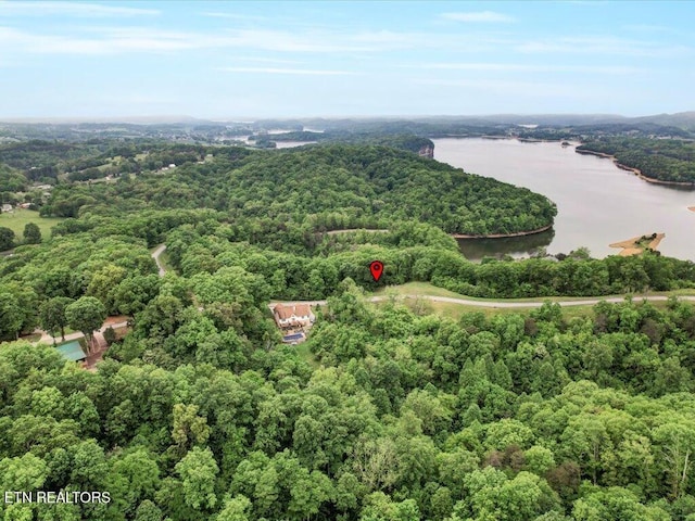1987 Turners Landing Rd, Russellville, TN 37860