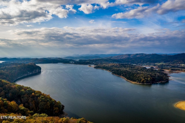 1987 Turners Landing Rd, Russellville, TN 37860