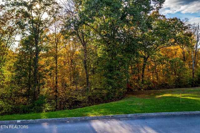 1987 Turners Landing Rd, Russellville, TN 37860