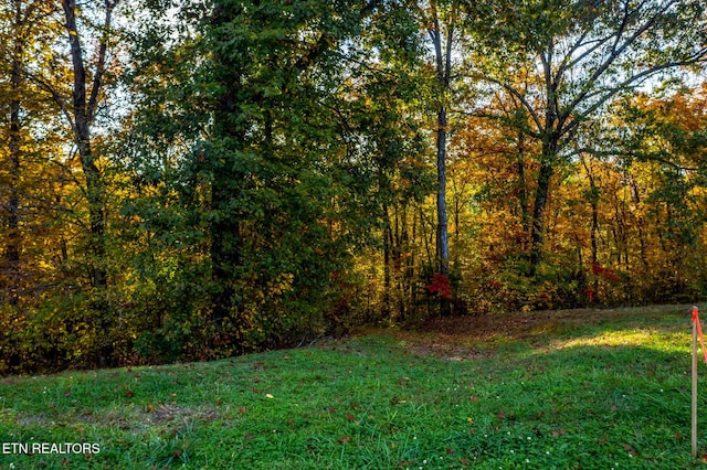 1987 Turners Landing Rd, Russellville, TN 37860