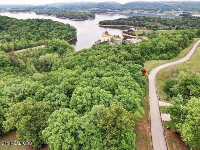 1987 Turners Landing Rd, Russellville, TN 37860
