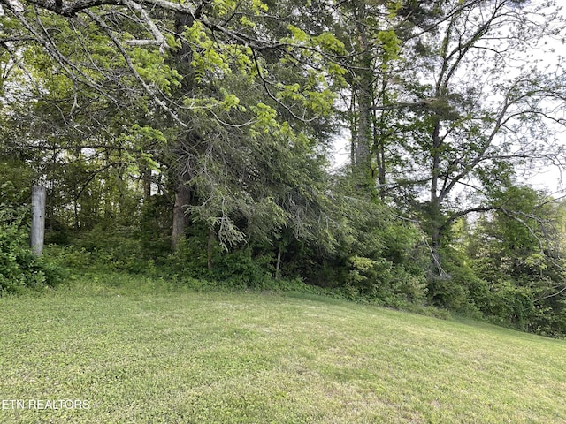 123 Sexton Ln, Clinton, TN 37716 - view of grassy yard featuring a view of trees