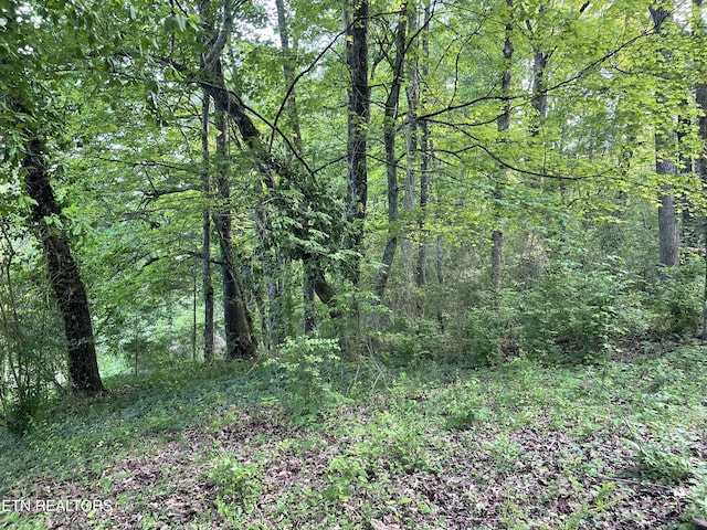 123 Sexton Ln, Clinton, TN 37716 - view of tree filled area