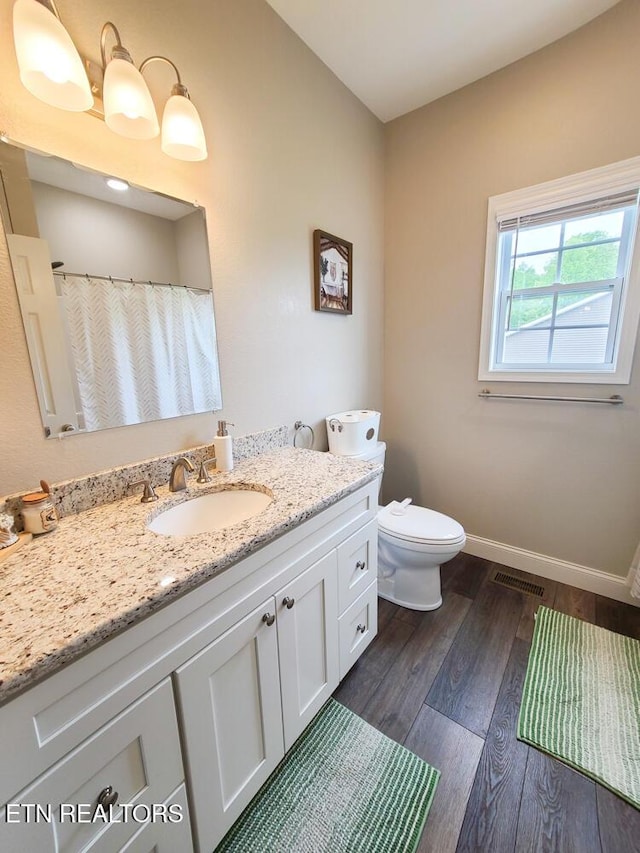 106 Maca Ridge Cir, Clarkrange, TN 38553 - full bath with baseboards, vanity, wood finished floors, toilet, and a shower with curtain