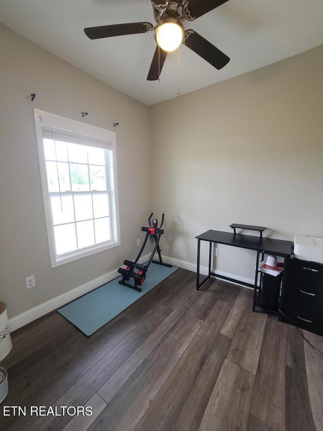 106 Maca Ridge Cir, Clarkrange, TN 38553 - exercise room with wood finished floors, a ceiling fan, and baseboards