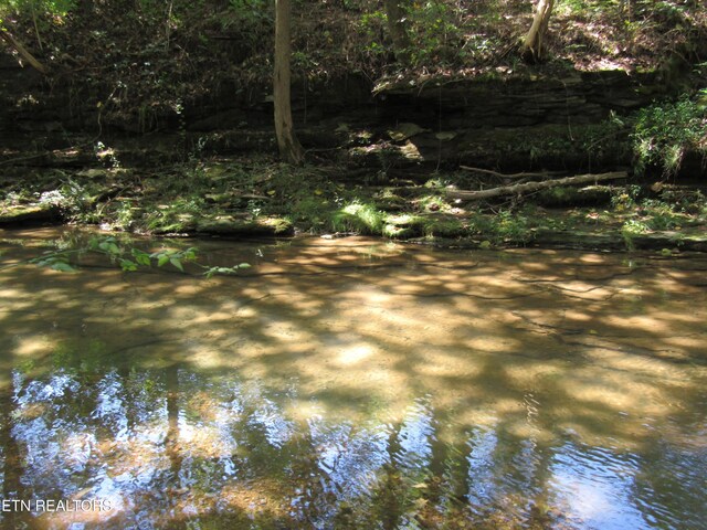 14AC Hartsville Rd, Lafayette, TN 37083 - photo 2