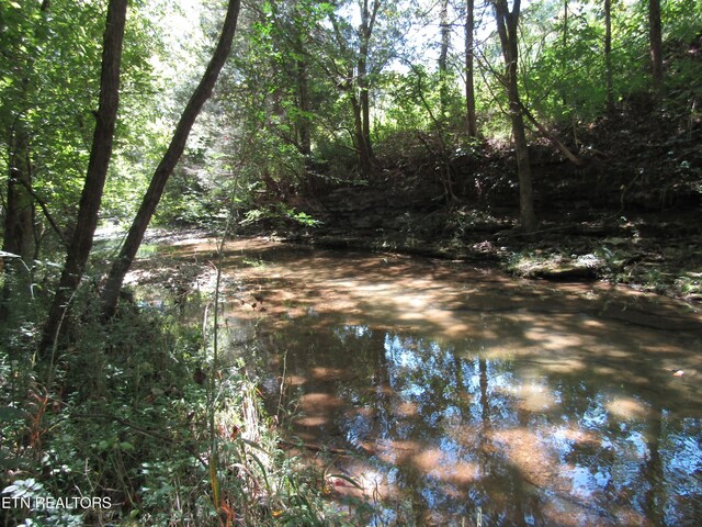 14AC Hartsville Rd, Lafayette, TN 37083 - photo 3